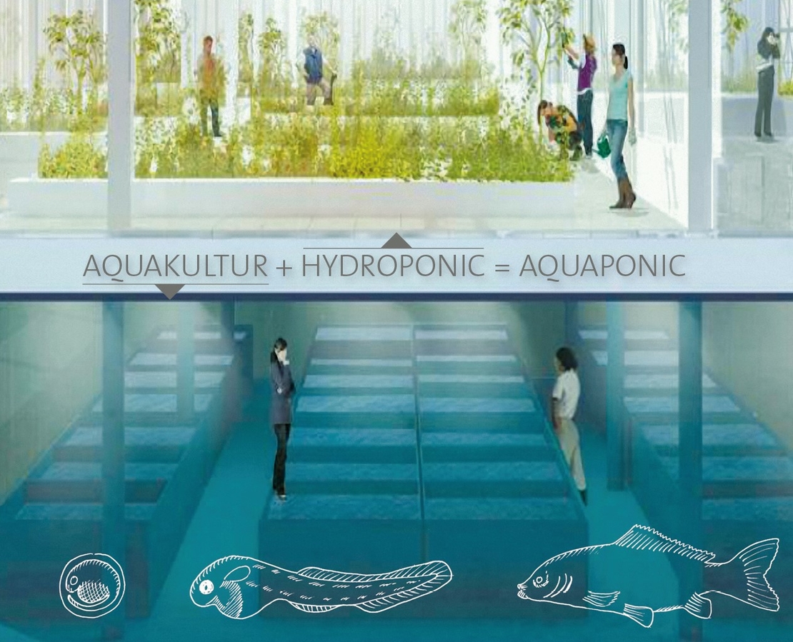 Aquakultur klein.tif