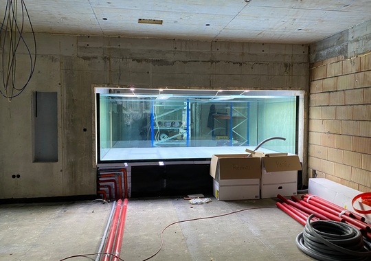 Aquarium im Rohbau