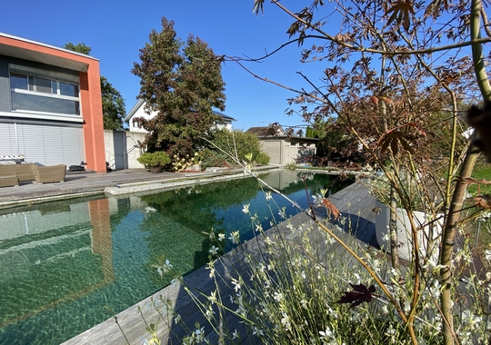 Naturpool mit Terasse