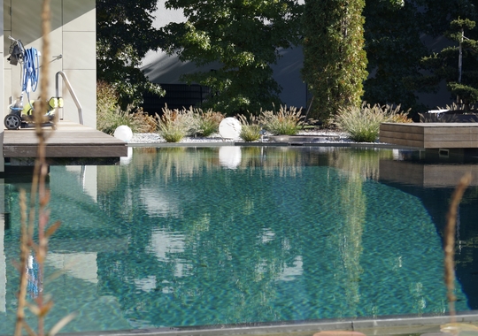 Naturpool mit Steg