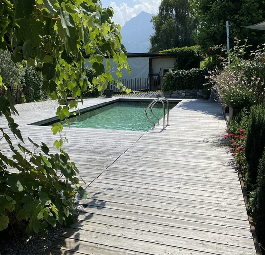 Holzpool mit Holzverkleidung