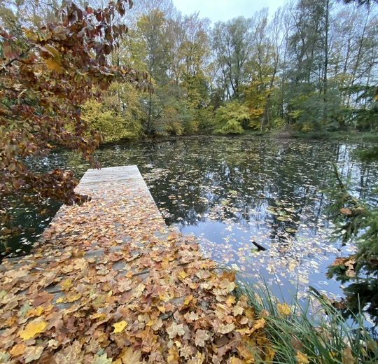 Erhaltung von Naturgewässern